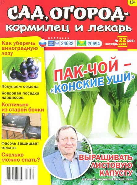 Сад, огород - кормилец и лекарь №22 (октябрь 2013)