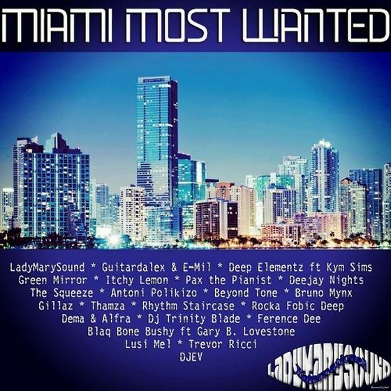 Miami Most Wanted (2014)