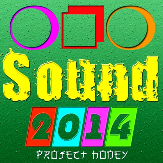 Project Sound Honey (2014)