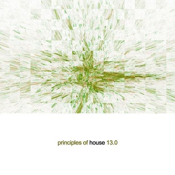 Principles of House Vol 13 (2014)
