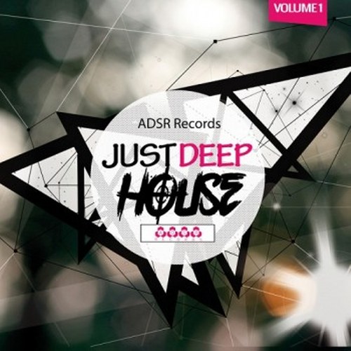 Just Deep House Vol. 1 (2014)
