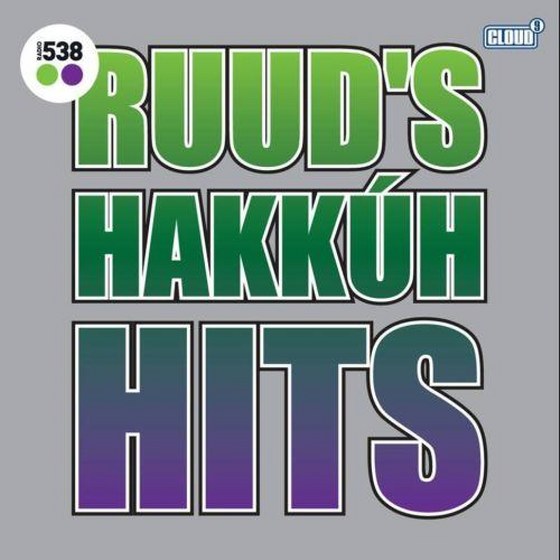 скачать 538 Ruuds Hakkuh Hits (2011)