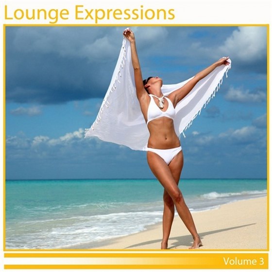 скачать Lounge Expressions Vol 3 (2011)