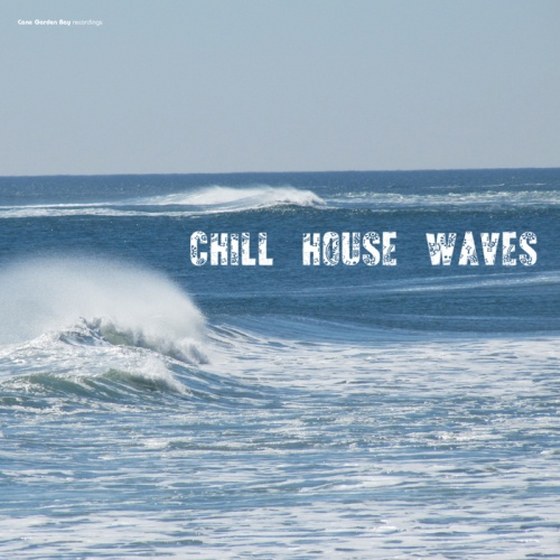 скачать Chill House Waves (2012)