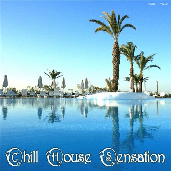 скачать Chill House Sensation (2012)