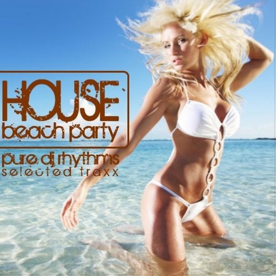 скачать House Beach Party (2012)