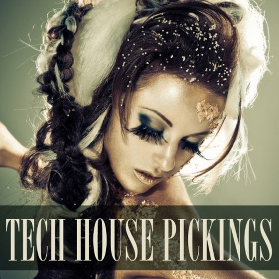 скачать Tech House Pickings (2012)