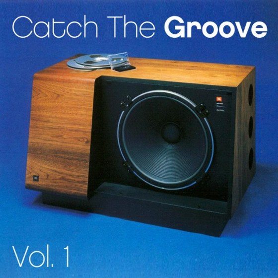 скачать Catch The Groove Vol 1 (2012)