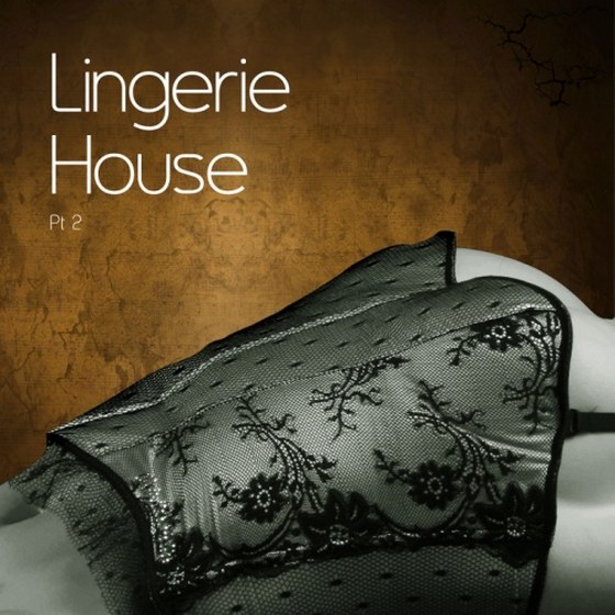 скачать Lingerie House Vol 2 (2011)