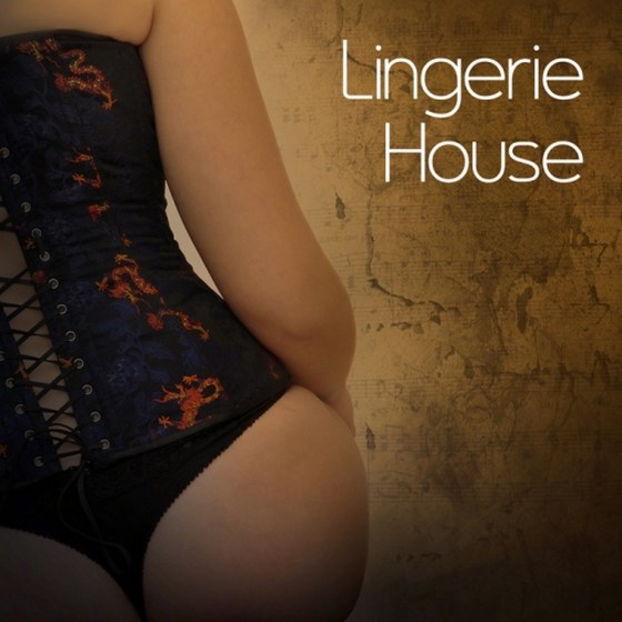 скачать Lingerie House Vol 1 (2011)