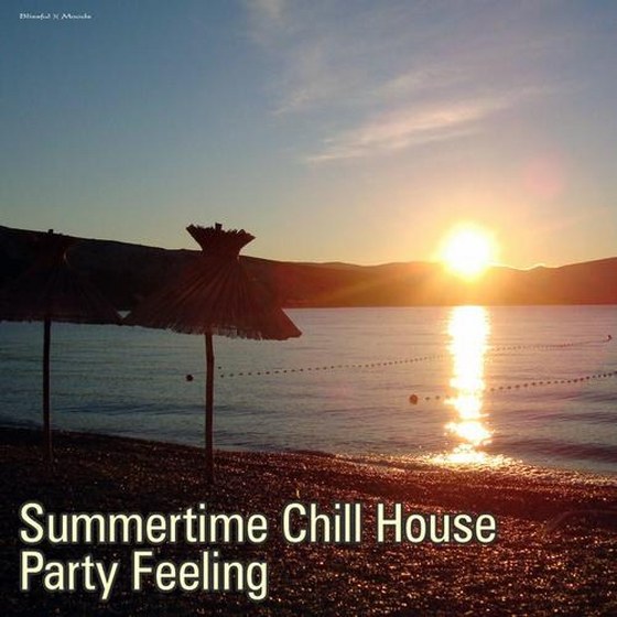 скачать Summertime Chill House Party Feeling (2012)