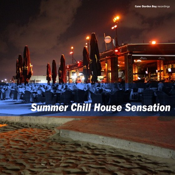 скачать Summer Chill House Sensation (2012)