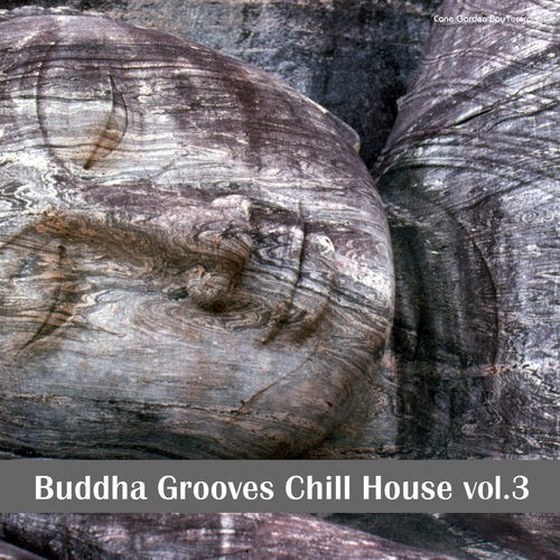 скачать Buddha Grooves Chill House Vol.3 (2012)
