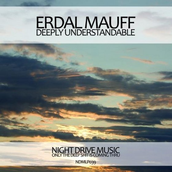 Erdal Mauff. Deeply Understandable LP (2013)