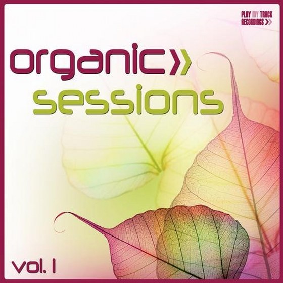 скачать Organic Sessions Vol.1 (2012)