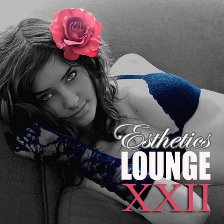 Esthetics Lounge Vol.22 (2013)