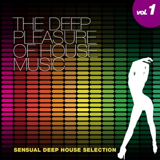 The Deep Pleasure Of House Music Vol 1 (2013)