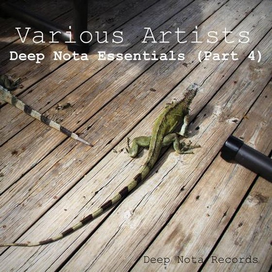 Deep Nota Essentials: Part 4 (2013)