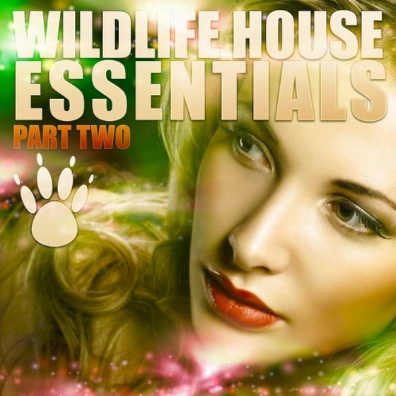 Wildlife House Essentials part 2 (2013)