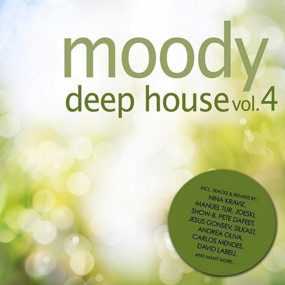 Moody Deep House Vol 4 (2013)