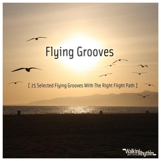 Flying Grooves: 25 Selected Flying Grooves With the Right Flight Path (2013)