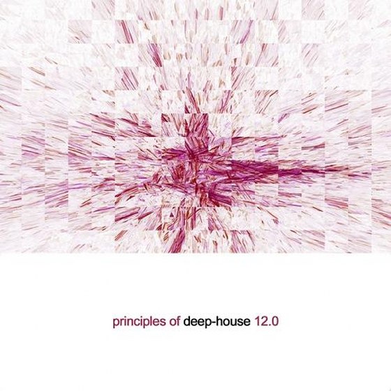 Principles of Deep House 12 (2014)