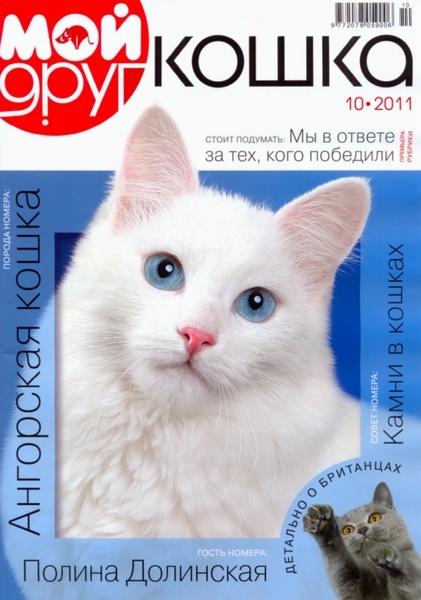 Мой друг кошка №10 2011