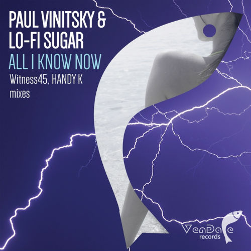 Paul Vinitsky, Lo-Fi Sugar