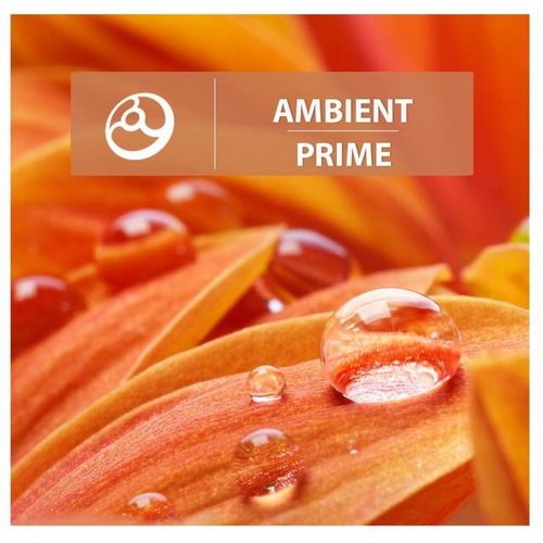 Ambient Prime