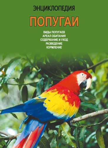 Энциклопедия. Попугаи
