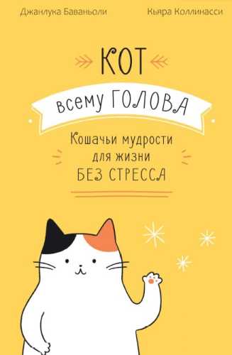 Джанлука Баваньоли. Кот всему голова. Кошачьи мудрости для жизни без стресса