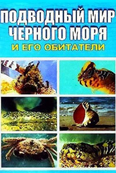 Е. Иськив. Подводный мир Черного моря
