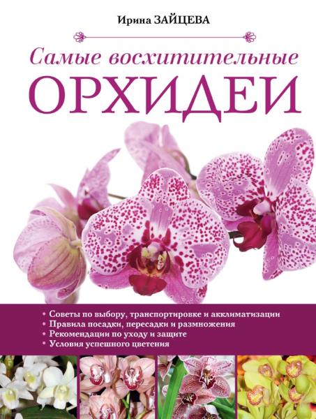 И. Зайцева. Самые восхитительные орхидеи