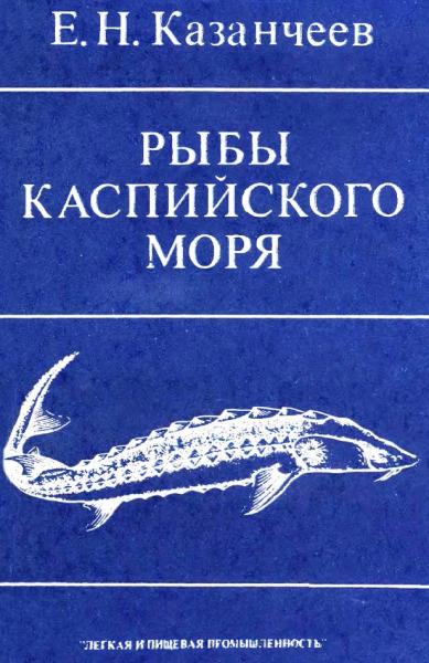 Рыбы Каспийского моря