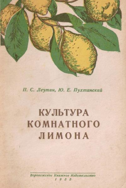 П.С. Леутнин. Культура комнатного лимона