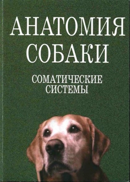Н.А. Слесаренко. Анатомия собаки. Соматические системы