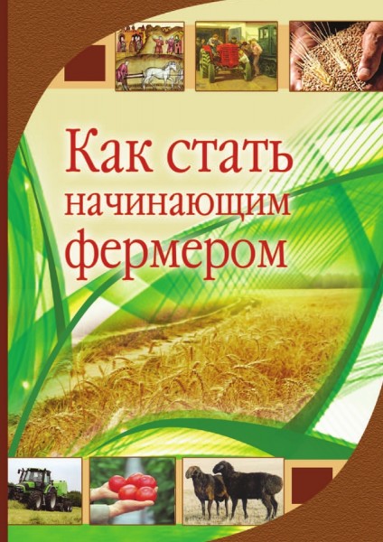 В.В. Каракулев. Как стать начинающим фермером