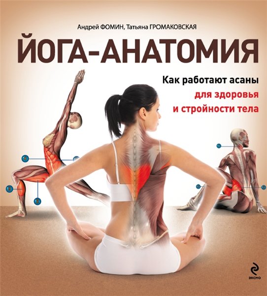 А. Фомин. Йога-анатомия. Как работают асаны для здоровья и стройности тела
