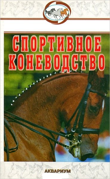 В.А. Шингалов. Спортивное коневодство