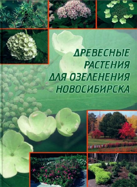 В.Т. Бакулин. Древесные растения для озеленения Новосибирска