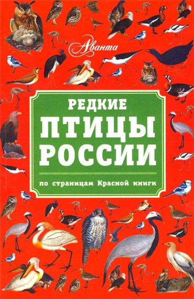 В. Бабенко. Редкие птицы России
