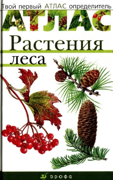 В.И. Сивоглазов. Растения леса
