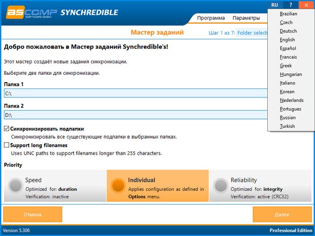 Synchredible Professional Edition 5.306