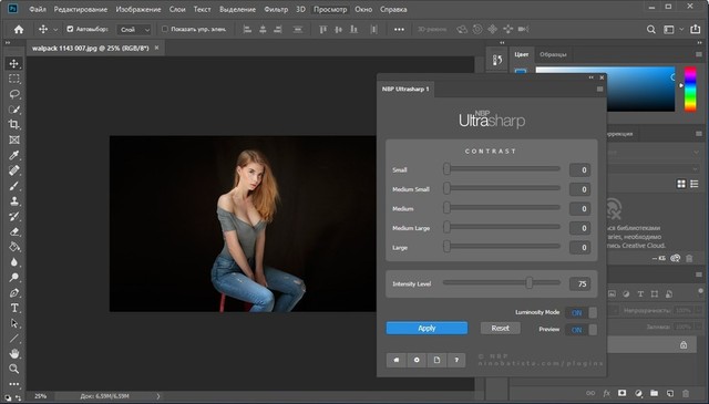 NBP Ultrasharp for Adobe Photoshop 1.0.003