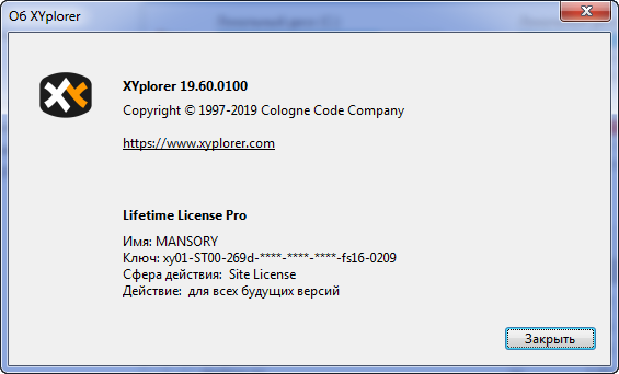 XYplorer Pro 19.60.0100 + Portable