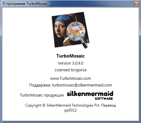 TurboMosaic 3.0.9.0 Professional Edition + Rus + Portable