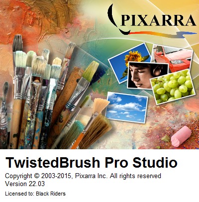 Portable TwistedBrush Pro Studio 22.03