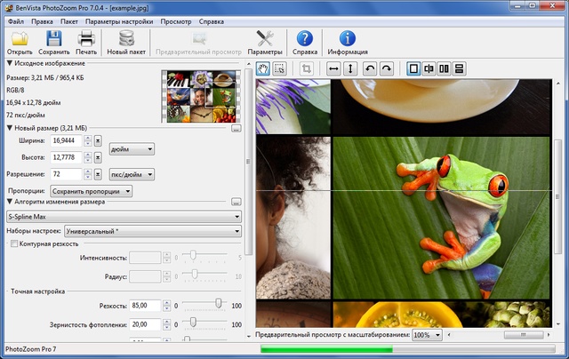 Benvista PhotoZoom Pro 7.0.4