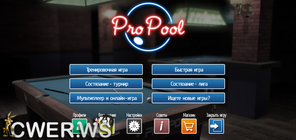 pro pool2