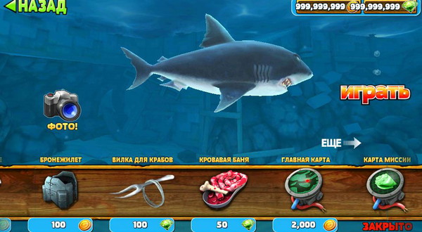 Hungry Shark5